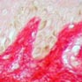 Mise en �vidence histologique du collag�ne