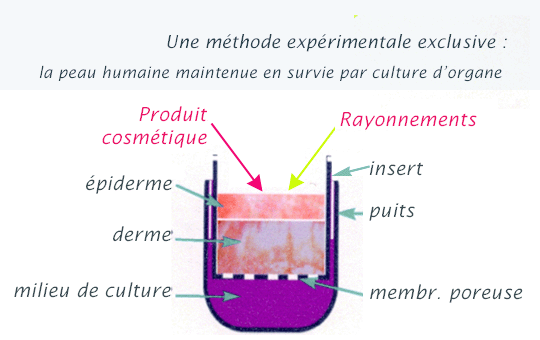 methode experimentale exclusive