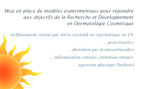 modeles experimentaux