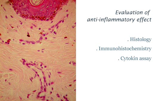 anti inflammatory effect