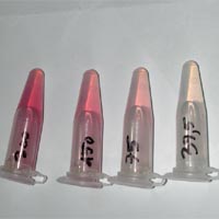 Objectification of elastin synthesis 