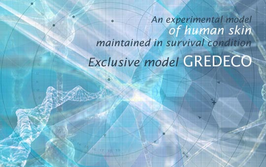 human skin