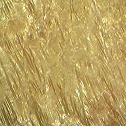 évaluations cliniques